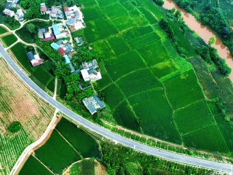 四川仁寿县：“三条道路” 添彩乡村振兴美丽画卷